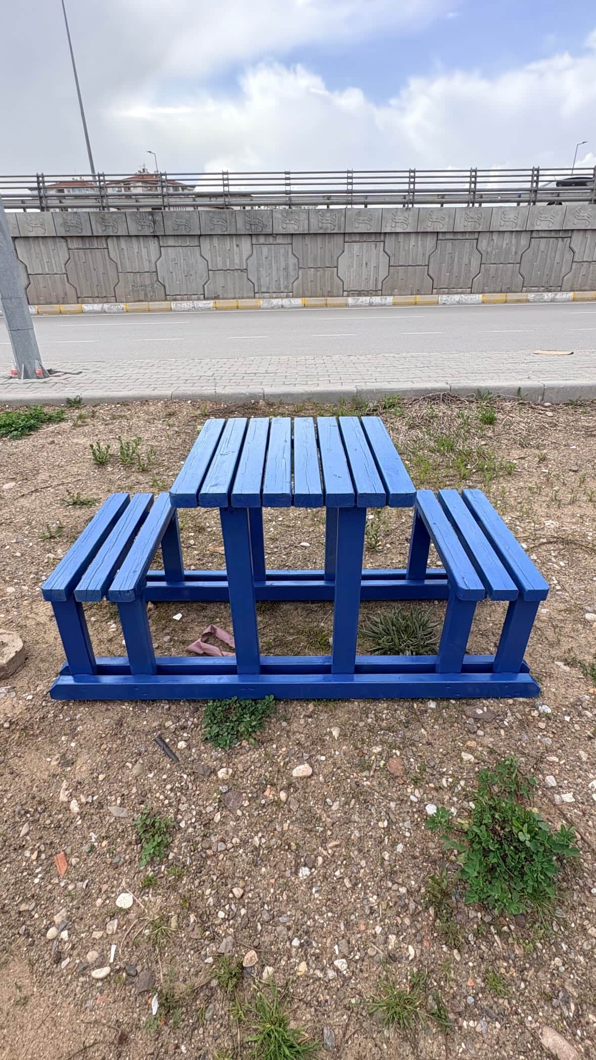 Mavi koruyucu boyalı ahşap bahçe piknik masası oturma seti